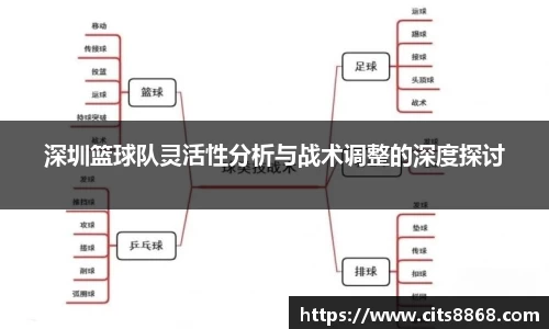 深圳篮球队灵活性分析与战术调整的深度探讨